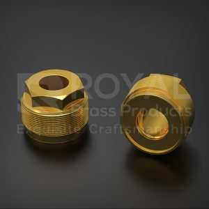 Brass Threaded Hex Bushing (RB-01.117)